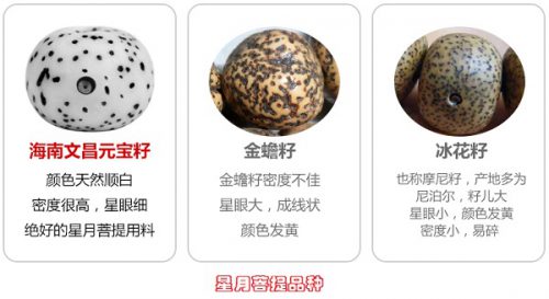 各种星月菩提子价格参照-孔夫子古玩网