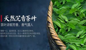 22ab312724f9cf8.jpg插图(3)