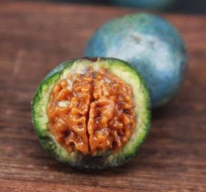 金刚菩提子干货知识与功能内涵-孔夫子古玩网