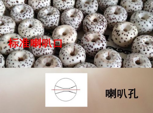 31e63c3a6483c62.jpg插图(1) 31e63c3a6483c62.jpg插图(1)