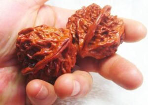 把玩的价值：文玩核桃的投资收藏价值-孔夫子古玩网
