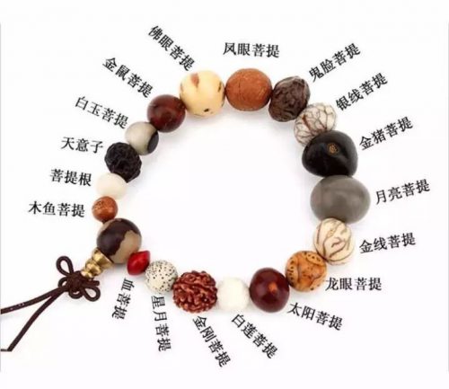 菩提籽类别介绍-孔夫子古玩网