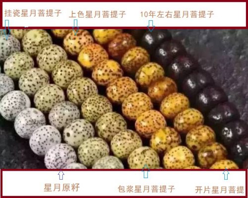星月菩提子最佳抛光方法-孔夫子古玩网