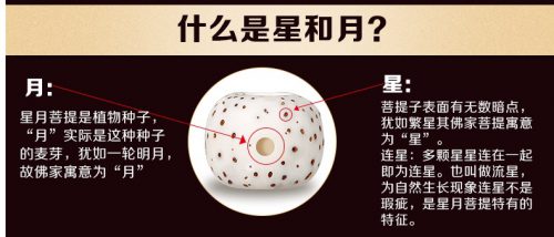 星月菩提的干磨与水磨？-孔夫子古玩网