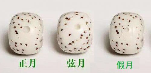 6ecf284da175b88.jpg插图(2)
