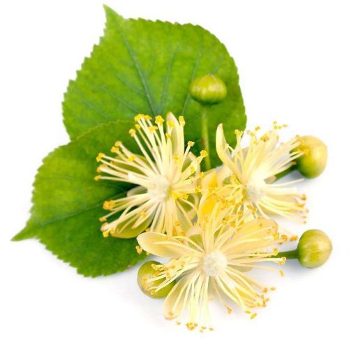 一花一世界 一叶一菩提是什么意思-孔夫子古玩网