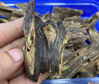 海南虫漏沉香的功效与特点-孔夫子古玩网