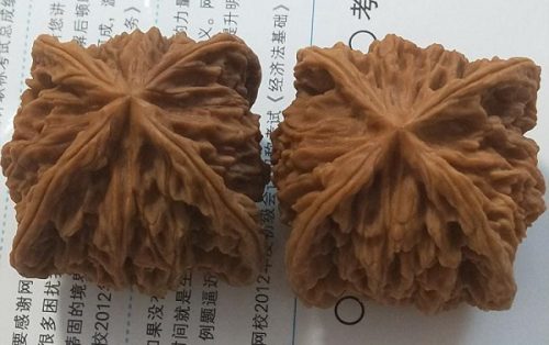 9b930ada116b09f.jpg插图(6)