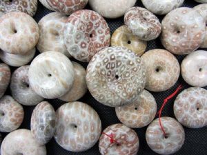 珊瑚玉化石花型种类与收藏价值-孔夫子古玩网