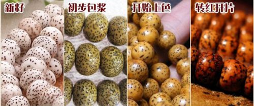 e2247d73ae75797.jpg插图(1)