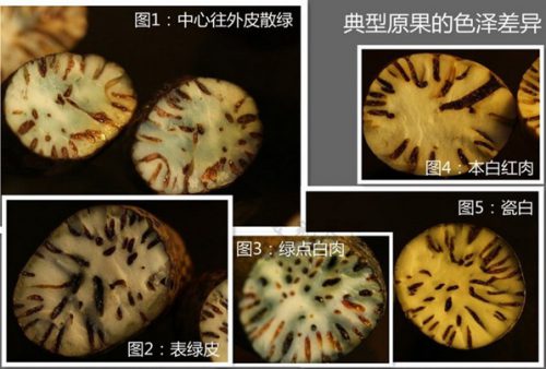 披露星月菩提子的造假手段-孔夫子古玩网